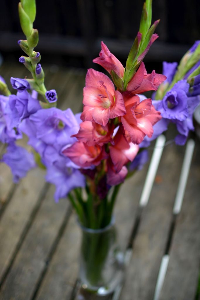 vaso di fiori